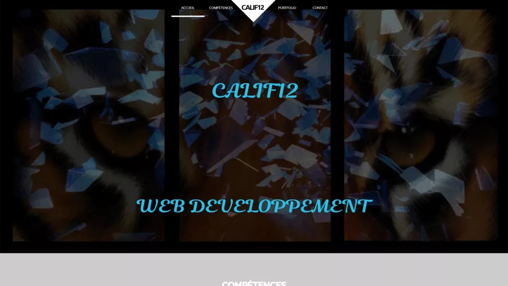 Site vitrine Calif12